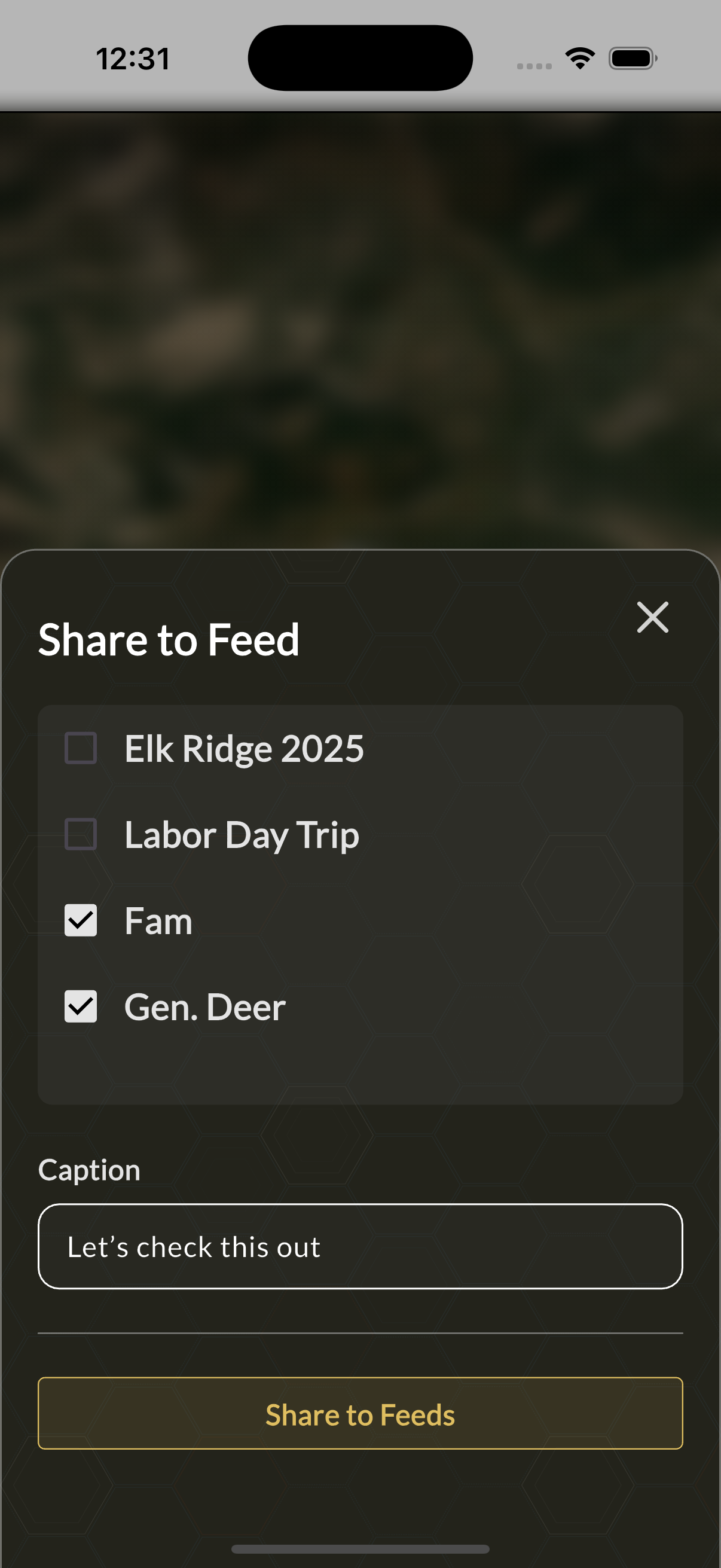 Shared Feeds screenshot 1